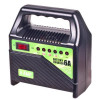 Зарядное устр-во PULSO BC-15860 6-12V/6A/15-80AHR/светодиодн.индик (BC-15860)